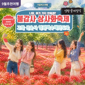 [가을버스여행] 불갑사 상사화 축제&고창 선운사&영광 굴비정식