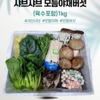 늘품 샤브샤브(육수포함) 모듬야채버섯 1kg