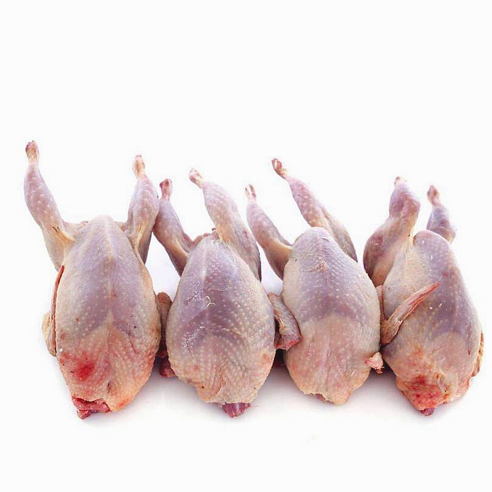 (배터짐)햇썸 메추리 고기 30마리 메추라기 노계닭 말고기 토끼 거위 흑염소 꿩 고기