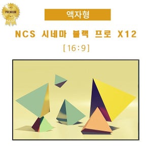 [DCS] 디씨에스(NCS) CINEMA PRO X12 블랙 광학 액자형 100인치 스크린