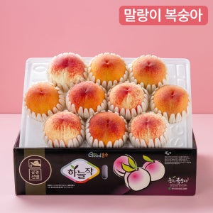 [프루미츠] 북충주농협 충주 하늘작 말랑이 복숭아 3kg 선물세트(8-12입)