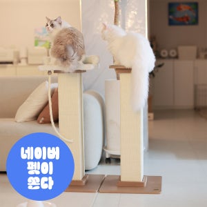 아토주 파우제 대형 80cm 수직 기둥 고양이 스크래쳐