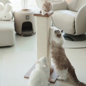 아토주 파우제 대형 80cm 수직 기둥 고양이 스크래쳐