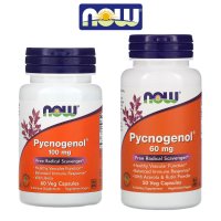 나우푸드 피크노제놀 호팍사 프랑스 해안송껍질 60mg 100mg