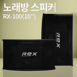스피커 REX RX-100 10인치 노래방스피커 매장 강의장/나인미디어
