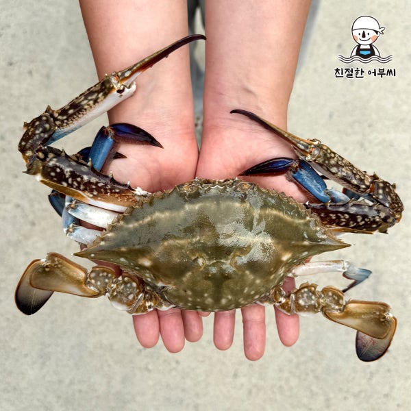 꽃게 톱밥 활 숫꽃게 제철 냉동 가을 햇 암꽃게 급냉 1kg 친절한어부씨