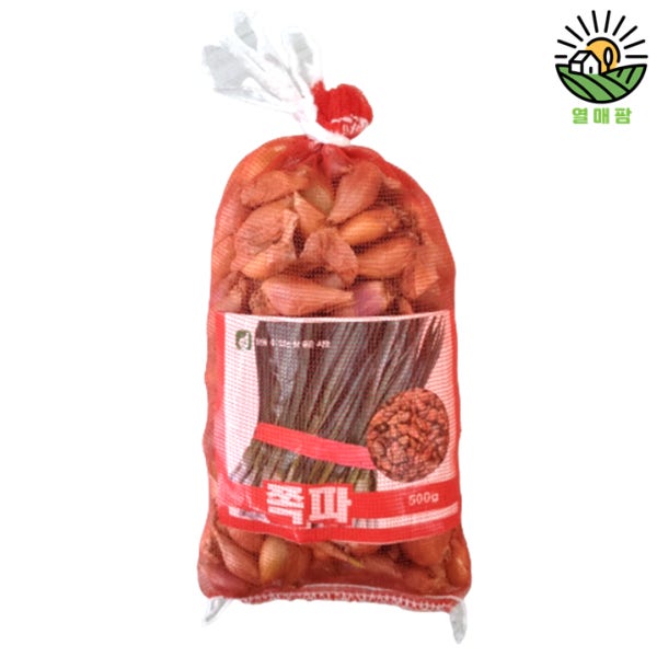 쪽파 종구 500g - 국내산 쪽파 씨앗 쪽파씨