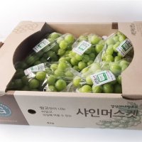 국내 특 샤인머스캣 3kg(3과) 농산물도매시장 경매 최상품 입찰 발송