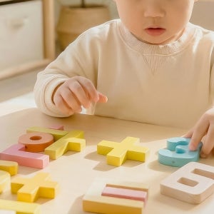다르담 유아 아기 한글공부 수학공부 놀이 자가 81pcs 장난감 교구 원목 한글 숫자 블록 풀세트