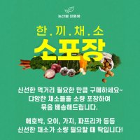 채소 못난이야채 소량 골라담기