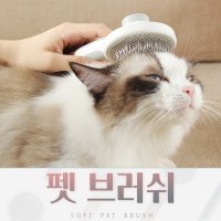 펫 브러쉬 고양이 강아지빗 반려동물 애견 용품