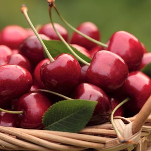 캘리포니아 칠레 체리 고당도 프리미엄 다이아몬드 생체리 미국산 9.5R 500g~2kg