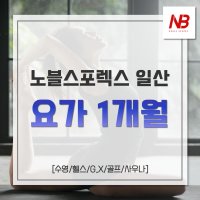 [노블스포렉스 일산] 요가 1개월 이용권