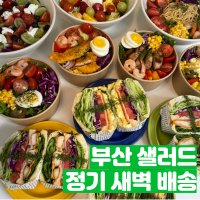 [프리미엄] 부산 샐러드 정기배송 샌드위치 정기 구독 새벽 배송 배달 도시락 식단