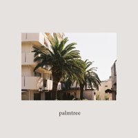 플롭시 Palmtree 인테리어 포스터 사진포스터 flopse A3 poster