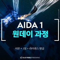 서울 경기 프리다이빙 자격증 강습 AIDA1 원데이 과정