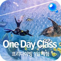 프리다이빙 체험 (원데이 클래스)서울 수원 강습 교육