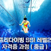 프리다이빙 강습 중급(3 레벨 ) 자격증 과정(중급) 서울 수원 교육