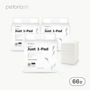 한장뚝딱 프리미엄 국산 강아지 배변패드 대형77g (60x77cm), 66매입, 1개