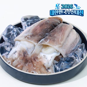갑오징어 손질 냉동 갑오징어구이 볶음 숙회 업소용 2kg 친절한어부씨