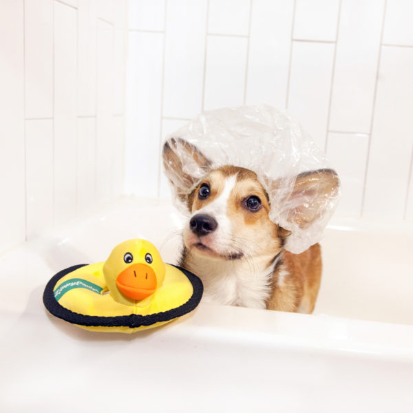 ZippyPaws 지피포우즈 강아지 물놀이장난감 튜브장난감 삑삑이 인형 오리