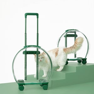 강아지기내가방 중형견이동가방 강아지산책 기내용