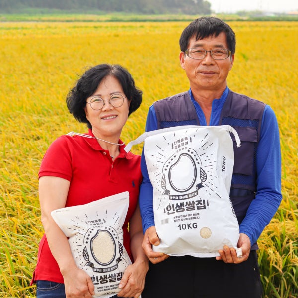 [인생쌀집] 25년 햅쌀 전북 김제쌀 지평선 신동진 단일품종 백미 4kg 10kg 20kg