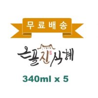 가보자온골진 옛날식혜 340ml 5개