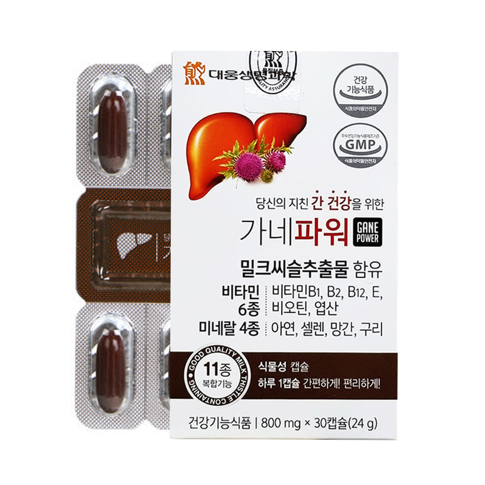 가네파워