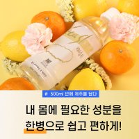 제주 용암수 감귤 레몬 물 워터 이온음료 비타슬러 500ml