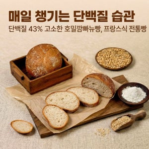 쌀 오곡현미 비건 호밀깜빠뉴빵 무첨가 무설탕 저당 호밀 빵 깜빠뉴 VEGAN BREAD