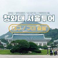 대구 구미 청와대출발