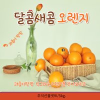 엔젤영라이프 ufeff추석선물셋트 감사한 마음을 전하는 스페인산 썸머 오렌지 5kg