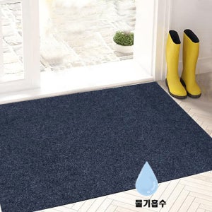 현관 레인매트 카페트 60x90cm, 90x120cm, 출입구 물기흡수 미끄럼방지