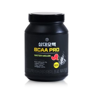 삼대오백 BCAA 500g 33서핑