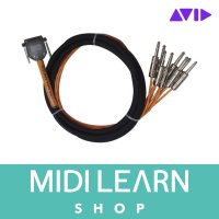 Avid DB25 DigiSnake 12 ft Cable 아비드 디지스네이크 케이블