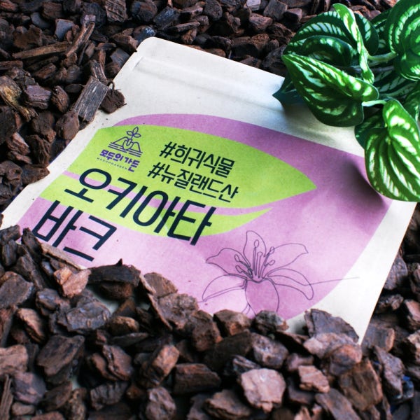 오키아타 바크 뉴질랜드 분갈이흙 소나무 나무껍질 몬스테라 안스리움 호접란 난초 2L