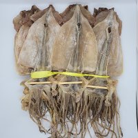 동해안 국산 건 오징어 650g 5마리내외1.2kg 10마리 내외