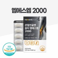 무릎관절 영양제 추천 관절 msm 2000 아연 비타민 D 60정