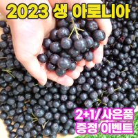 23년 햇 생아로니아 열매 1kg 친환경 아로니아 생과 아로니아먹는법