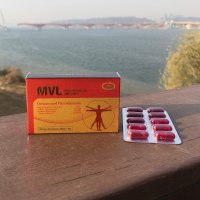 호주 네이쳐스탑 MVL 폴리코사놀 밀크씨슬 580mg 30캡슐