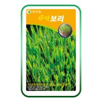 새싹보리씨앗 1Kg 보리싹 새싹채소씨