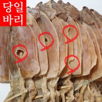 당일바리 마른오징어 파품 파지 오징어 동해안