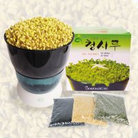 청시루 콩나물재배기 공장직영 일반형/고급형