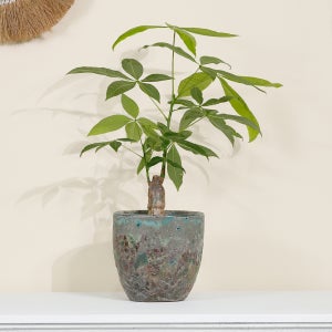 데팡스 이태리 풍 인테리어화분 분갈이화분 빈티지 거실 대형 화분 스트럭쳐에그팟 21cm