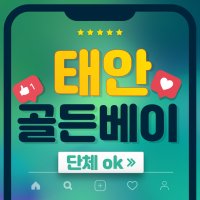 태안 골든베이CC 1박36홀