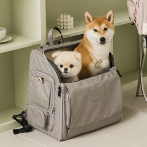 구루구루 위고백 벤티 강아지 고양이 이동가방 반려견 중형견 펫 캣 방수 백팩 이동장 대형