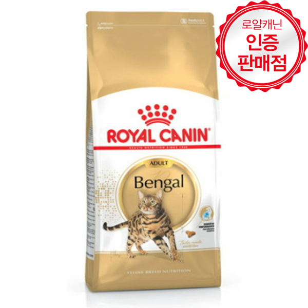 벵갈 고양이 (Bengal Cat)