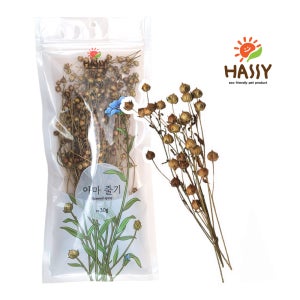 [HASSY] 해씨 아마 줄기 30g /300알 이상(24년 7월수확 햇 아마)