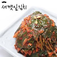 전라도김치 1kg [아빠김치] 새깻잎김치